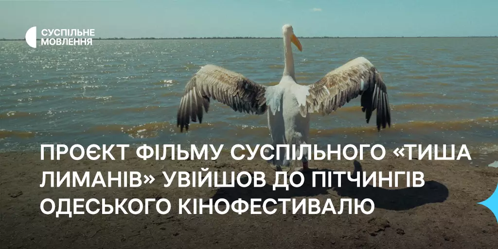 Учасником пітчингів Одеського кінофестивалю став проєкт фільму Суспільного «Тиша лиманів»