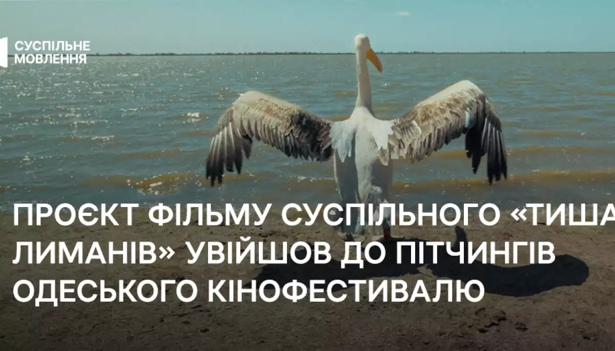 Учасником пітчингів Одеського кінофестивалю став проєкт фільму Суспільного «Тиша лиманів»