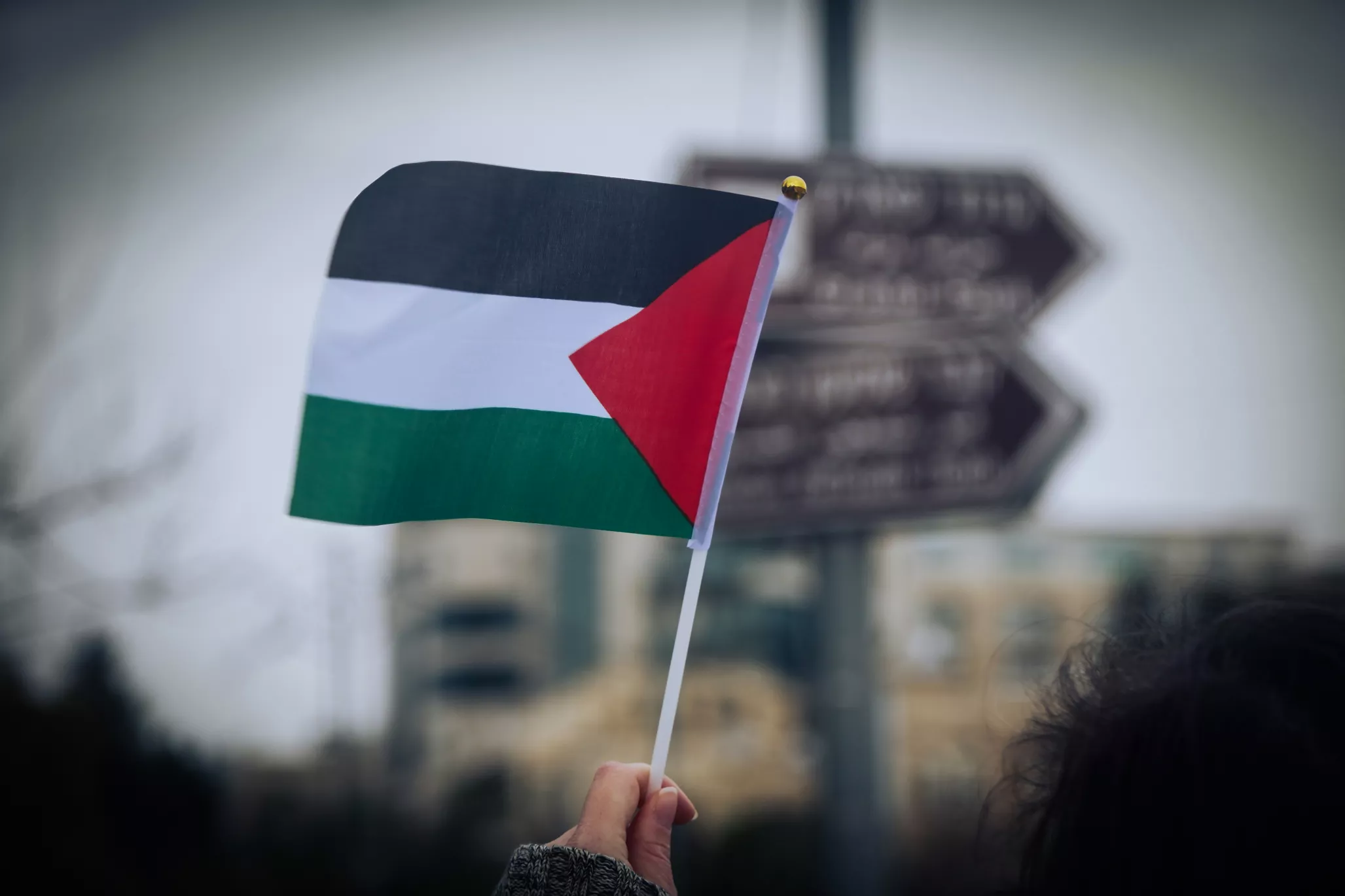 Італійський мовник закликав дозволити артисту з Палестини виступити на «Євробаченні» поза конкурсом